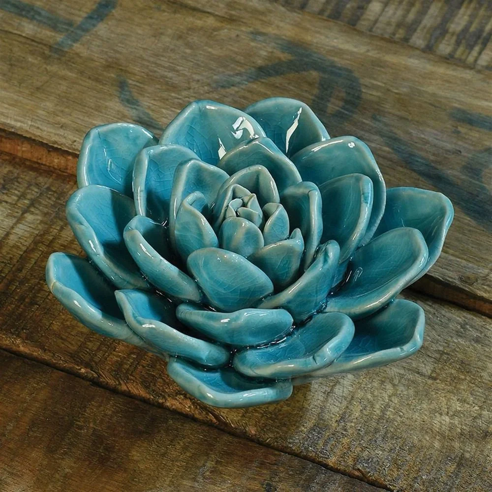 Nordstrom Ceramic Succulents - Picture 3 of 9